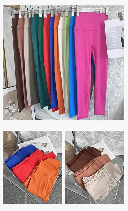 High Waist Tummy Tuck Pants in Multi Colors